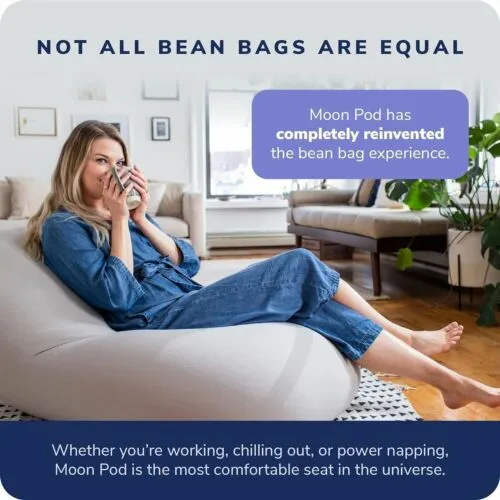 Bean Bag Chair Sleeve Only for Adults Gray – The Zero-Gravity Beanbag Chair